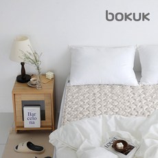 1+1 보국 전기요 그레이마운틴 더블 BKB-1622D 가정 캠핑 전기장판 워셔블전기매트 에어셀, 그레이마운틴 : 더블 1+1