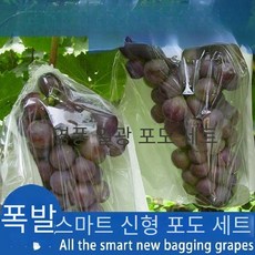포도 봉지 봉투 포장지 복숭아 과수 애호박비닐, 단일사이즈 * 26 * 33 [100 개 / 번들] *, 100개