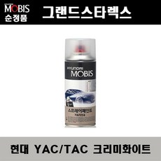 그랜드스타렉스순정오토라이트셋트