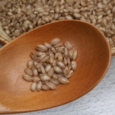 3번 쪄서 말린 늘보리 1kg, 단품
