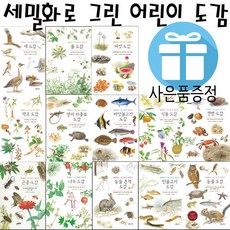 보리세밀화