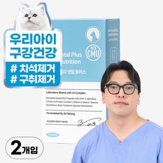 마싯츄 고양이 구강 덴탈, 2개 - 엣츠