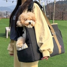 패리스독 인마이펫백 슬링백 아이보리 M