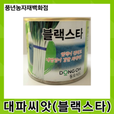 블랙스타오방난로