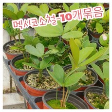 26de4d0a39b71472a5fbad25975cf60efd00ffa8f6cdcecbff406f8dcf5f.jpg