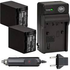 BM 2Pack of NPFV100 Batteries and Charger for Sony HDRCX455 CX675 CX260 CX290 CX330 CX380 CX430V CX5