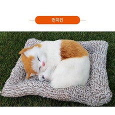 먼치킨스완욕조튜브