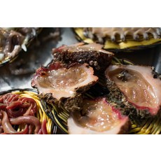 자연산 해산물 통영멍개 돌멍게 1kg, 1개