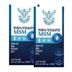 한풍제약 녹각 칼슘관절 MSM 60정, 2개, 82.8g