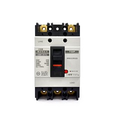 동양탑 산업용 배선차단기 DBE-202b 2P 225AF 25kA 125A 150A 175A 200A 225A, 1개
