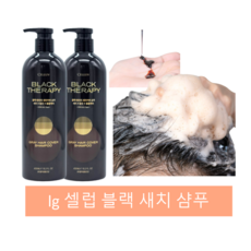 lg셀럽블랙샴푸
