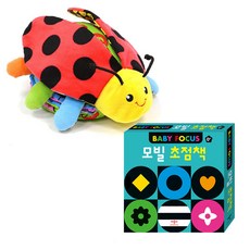 무당벌레촉감책