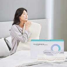 자생바이오베개