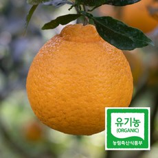 a5422e6d2b94263db46f7c19a8eb9c09c80c2f265525729b4a241abe63d7.jpg