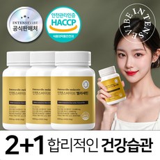 인텐스바이브 멜라세틴 효소 브로멜라인 퀘르세틴 식약처인증 HACCP인증, 3개, 60정