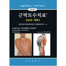 근막도수치료 실습편 레벨2, Luigi Stecco,Carla Stecco 공..., 영문출판사