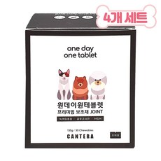 원데이원테블렛