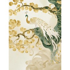 공작새 TOP01