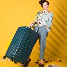 이민가방50인치