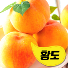 경북청도복숭아