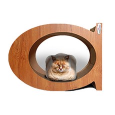  캐토피아 알파벳 스크래쳐 C형 