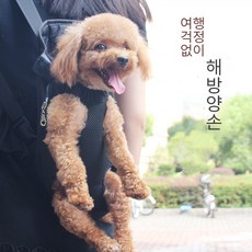 강아지/고양이 반려동물 외출용 백팩, S, 블랙 메쉬, 1개