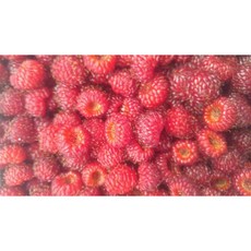 새콤달콤 흑 산딸기 산지직송 (2kg), 흑산딸기 2kg
