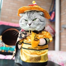 Tea Cup Clothes Boy Pet Funny Cat Costumes Clothing Dress Clothes Cosplay, [01] S, [01] Multicolor