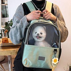 패리스독 데이지 펫백 민트, 상세페이지 참조, 1개