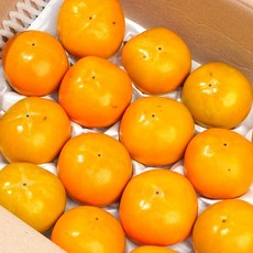 달콤아삭 제철과일 햇 단감, 1박스, 2kg