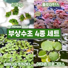 자연재배비트