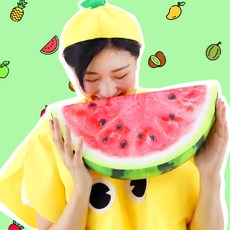 수박모형쿠션