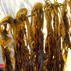 농가살리기 전남 완도 물미역, 1박스, 1kg