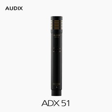 audix합창