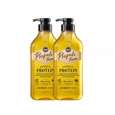 온더바디 [고영양힘없는모발용]엘라스틴 프로폴리테라 샴푸 500ml 2개 1021724, 샴푸 2개(힘없는모발용)