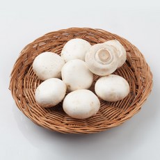 초록단비 양송이버섯, 1개, 1kg (상품)