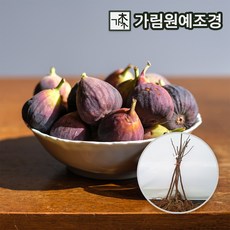 0089fea3929674a31bc1b07d6697b610a616e64a19b6858a3c6cc3e674e2.jpg