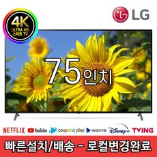 lg55인치tv범온라인샵