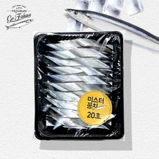 미스터꽁치