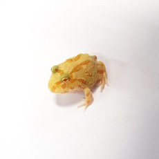 41f0ffa94f0607a846664965a6e7d457e17dcc410973572e37c4ab29e131.jpg