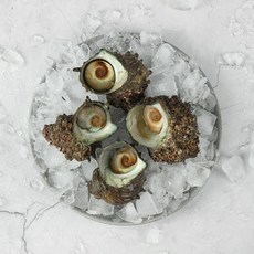 미각기행 통영 뿔소라, 02. 2kg(10~18미), 1개