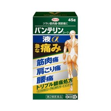 반테린 코와 액체a 파스 45g