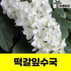 6827a44f474c6d4aeb27aa09848d8a6c8cf987cc4ede74130f1f06c36e4f.jpg