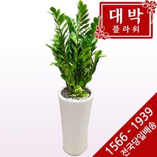 //상품명