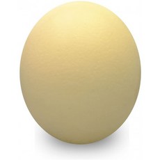 82c48b320db48e9edb1f722f38f7ecd94534cc0178b37f6ee9a9b7c43121.jpg