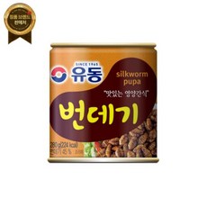 유동 번데기 280g x 48캔, 48개