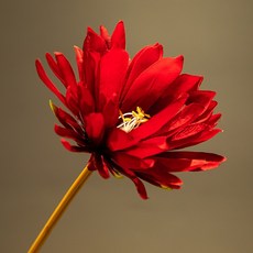 552271d2624df7f3996076d7563103072fcd6535092a39aac410ba2e760e.jpg