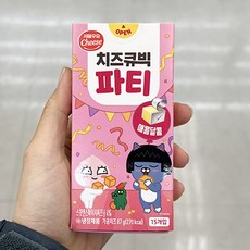 치즈큐빅파티