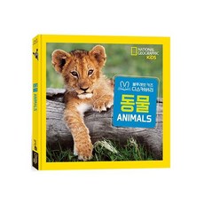 블루래빗키즈디스커버리