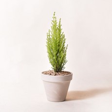 d9f86ff9d5c3e3f9a2e21d053ddab9619644116e2f3616dbf03dc7fd9ad5.jpg